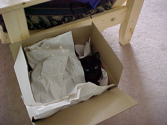 Davis, hiding in a box